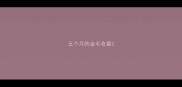 五个月的金毛食量