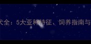 拉布拉多德利犬全5大亚种特征饲养指南与健康养护要点