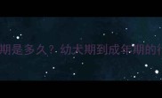 金毛犬性格稳定期是多久幼犬期到成年期的行为与养护指南
