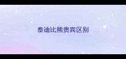 泰迪比熊贵宾区别