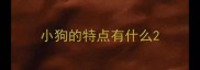 小狗的特点有什么