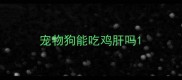 宠物狗能吃鸡肝吗
