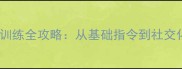 5月龄高加索犬训练全攻略从基础指令到社交化训练的实操指南