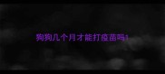 狗狗几个月才能打疫苗吗