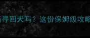 边牧真的能当寻回犬吗这份保姆级攻略建议收藏