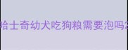 哈士奇幼犬吃狗粮需要泡吗