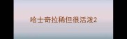 哈士奇拉稀但很活泼