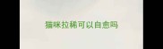 猫咪拉稀可以自愈吗