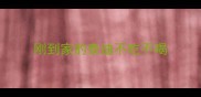 刚到家的泰迪不吃不喝