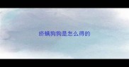 疥螨狗狗是怎么得的
