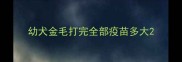 幼犬金毛打完全部疫苗多大