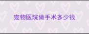 宠物医院做手术多少钱