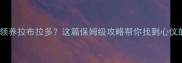 中山哪里能领养拉布拉多这篇保姆级攻略帮你找到心仪的毛孩子