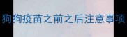 狗狗疫苗之前之后注意事项