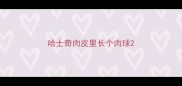 哈士奇肉皮里长个肉球