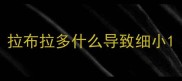 拉布拉多什么导致细小