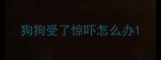 狗狗受了惊吓怎么办