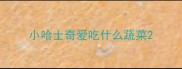 小哈士奇爱吃什么蔬菜