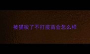被猫咬了不打疫苗会怎么样