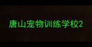 唐山宠物训练学校