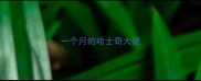 一个月的哈士奇大便