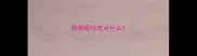 狗狗呕吐吃点什么