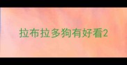 拉布拉多狗有好看