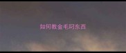 如何教金毛叼东西