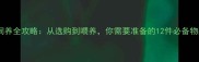 新手必看金毛犬饲养全攻略从选购到喂养你需要准备的12件必备物品和10个注意事项