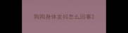 狗狗身体发抖怎么回事