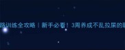 泰迪幼犬走路训练全攻略新手必看3周养成不乱拉屎的聪明小短腿