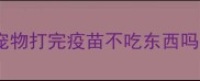 宠物打完疫苗不吃东西吗