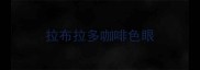 拉布拉多咖啡色眼