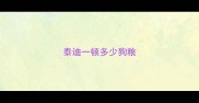 泰迪一顿多少狗粮