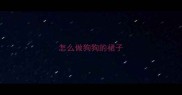 怎么做狗狗的裙子