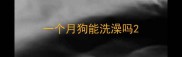 一个月狗能洗澡吗
