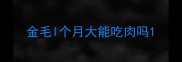 金毛l个月大能吃肉吗