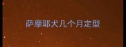 萨摩耶犬几个月定型