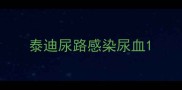 泰迪尿路感染尿血