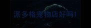 派多格宠物店好吗