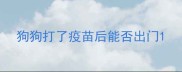 狗狗打了疫苗后能否出门