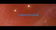 小狗如何防治疾病