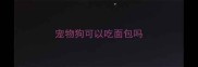 宠物狗可以吃面包吗
