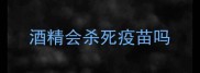 酒精会杀死疫苗吗
