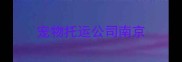 宠物托运公司南京
