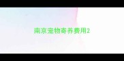 南京宠物寄养费用