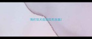 狗打狂犬疫苗四天洗澡