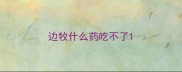 边牧什么药吃不了