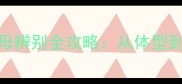新手必看哈士奇公母辨别全攻略从体型到行为3步轻松搞定