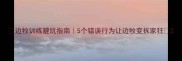 边牧训练避坑指南5个错误行为让边牧变拆家狂